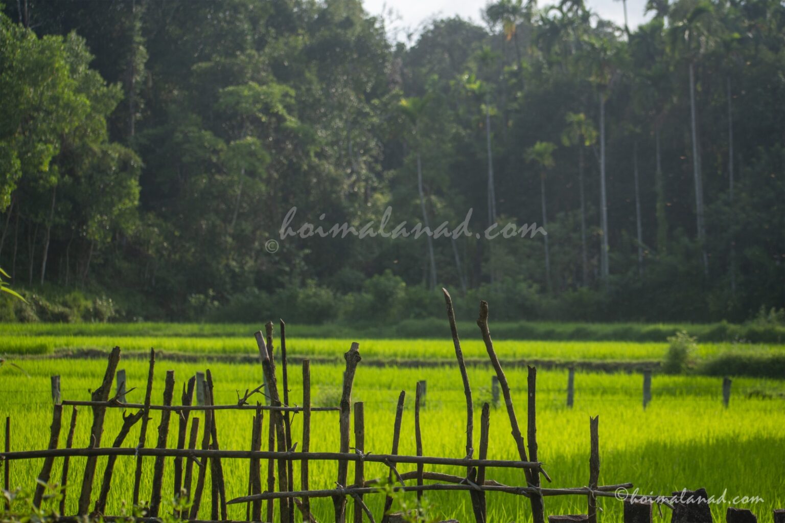 2026 MARCH CALENDAR KANNADA PDF DOWNLOAD intelligence overview